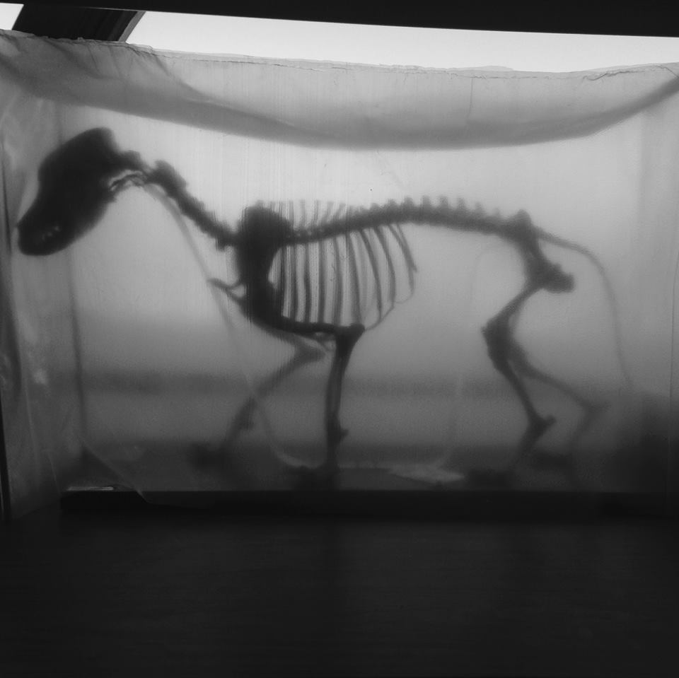 Headed to San Xavier Tribal Monitor&nbsp;Training